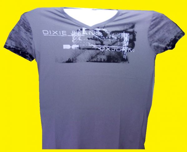 CAMISETAS DIXIE 06 CINZA